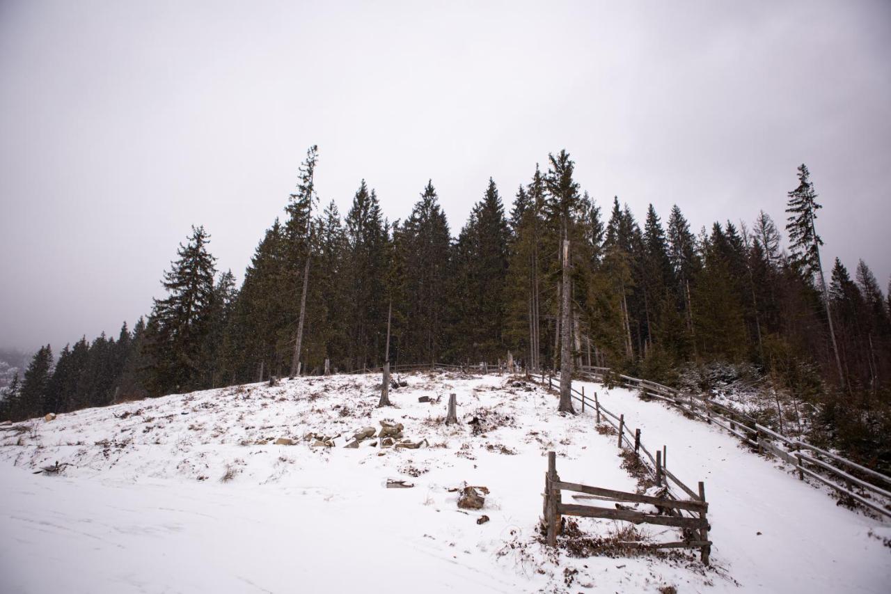 Kotedgi “ Druzi ” Villa Bukovel Bagian luar foto